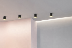 Enhance Your Space with Warm Light Series Downlights